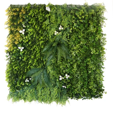 Green Wall Plants