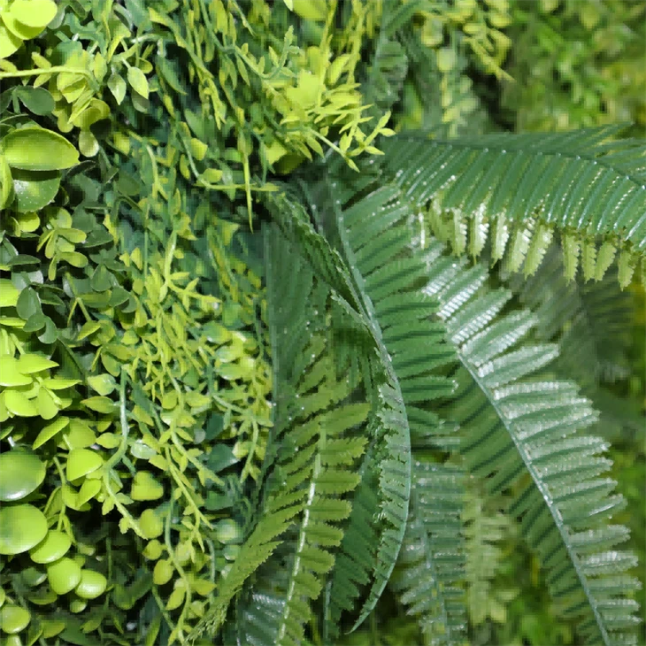 Hanging Plants Indoor Wall