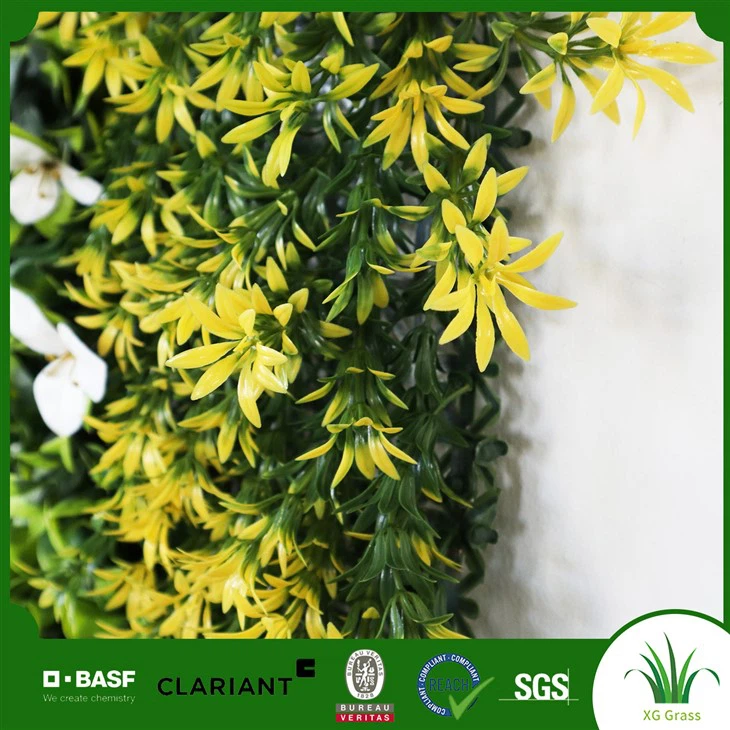 Viseče rastline na notranji steni