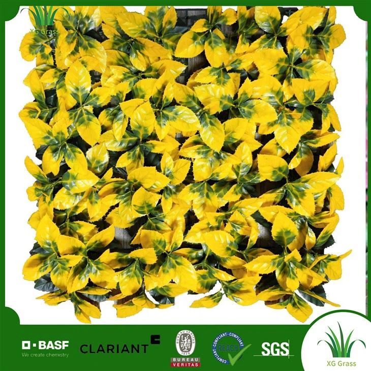 Notranja viseča vrtna stena