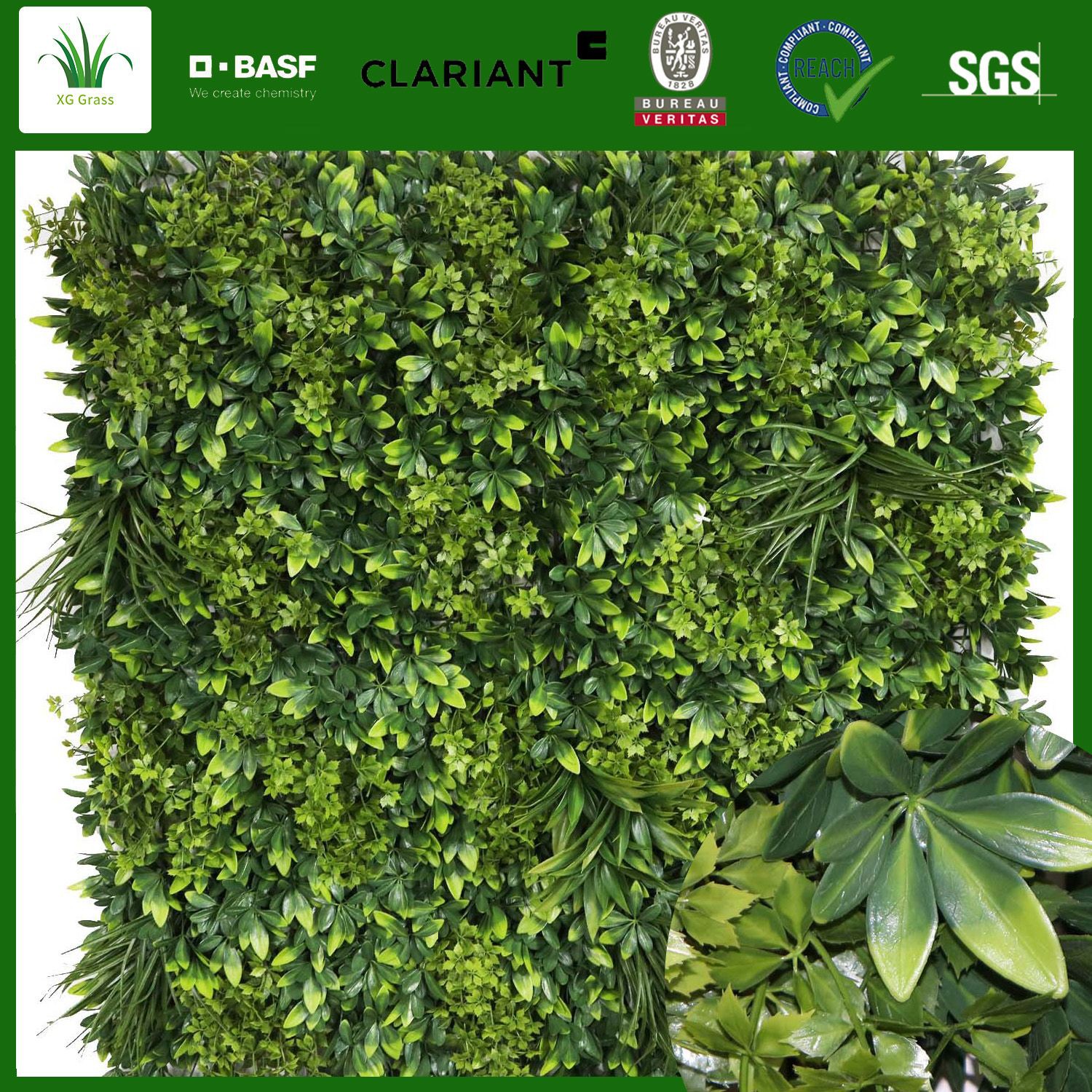 Vertical Green Wall Vertical Green Wall