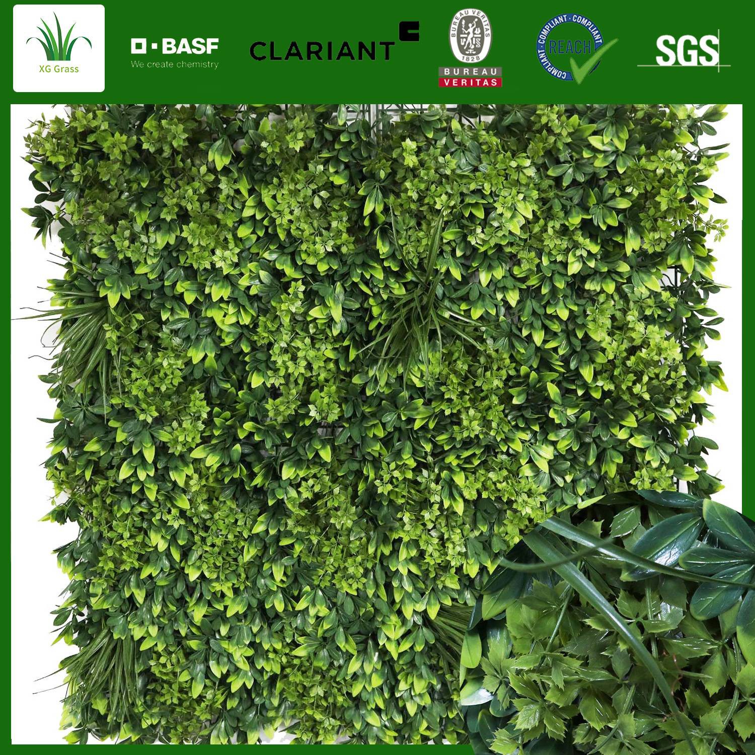 Vertical Plant Wall Vertical Plant Wall