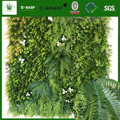 Zelene stenske rastline