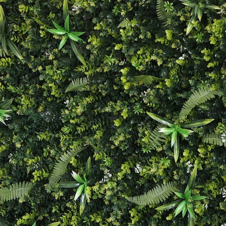 Plant Wall in Living Room
