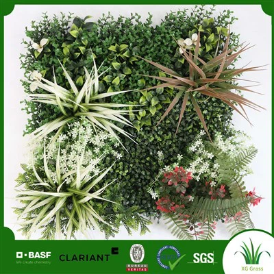 Stenska rastlina za spalnico