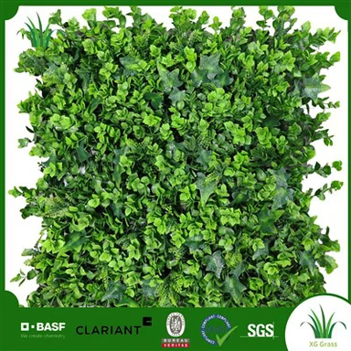 Najboljše rastline za bivalne stene v zaprtih prostorih