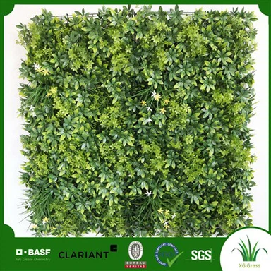 Rastlinska stena za jedilnico