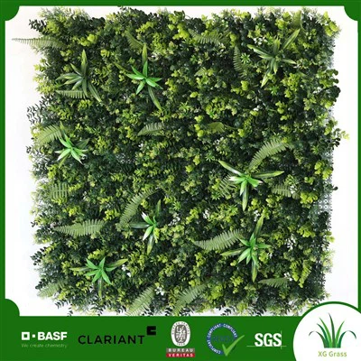 Naredi sam notranjo steno za žive rastline