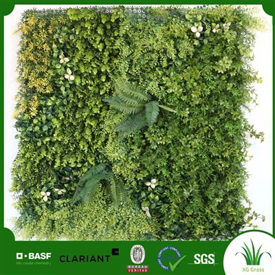 Naredi sam steno za sobne rastline