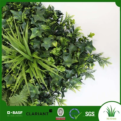 Notranja zeliščna stena