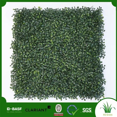 Notranje stensko zelenje