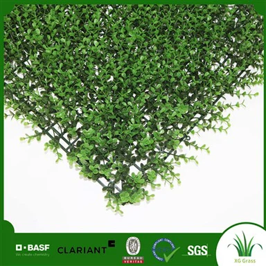 Notranji stenski viseči zeliščni vrt