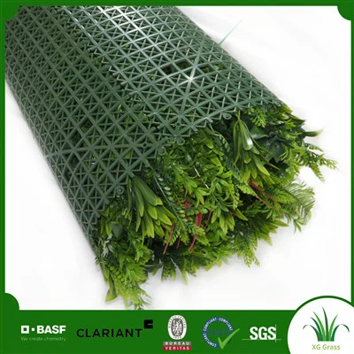 Rastlinski zid v hiši