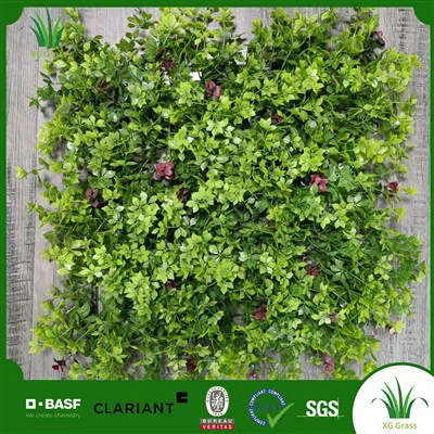 Navpične vrtne rastline v zaprtih prostorih