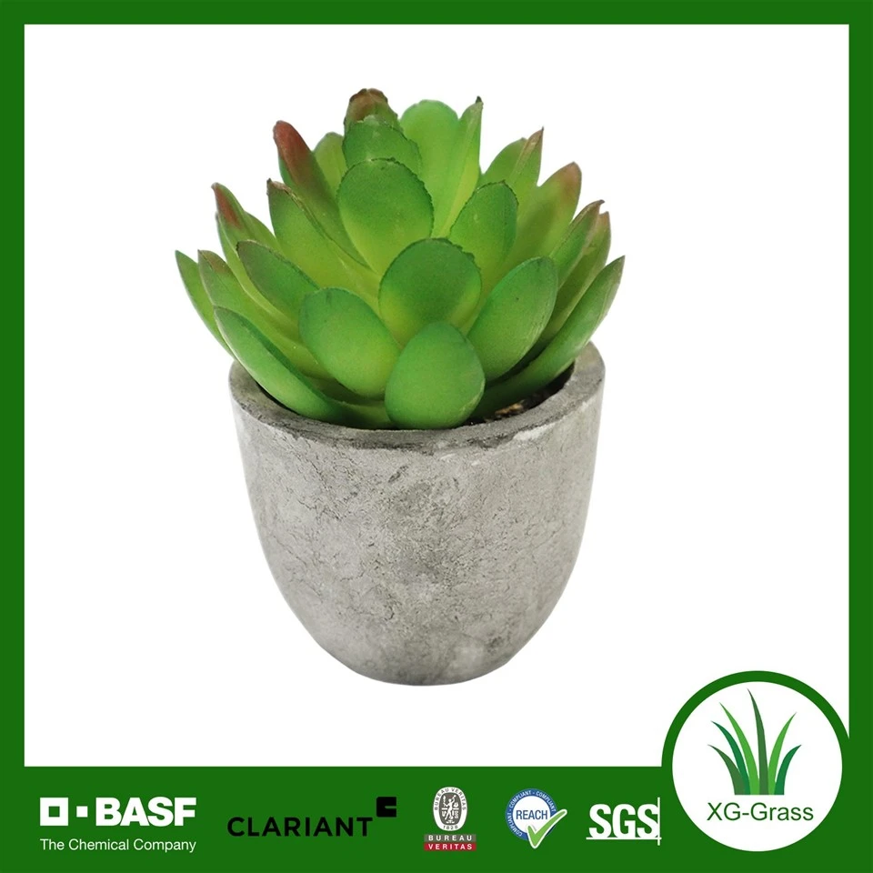 XG Premium Artificial Succulent Planter suppliers