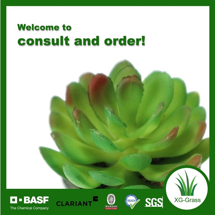 Xingu Realistic Faux Succulents price